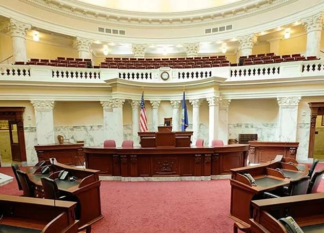 Government